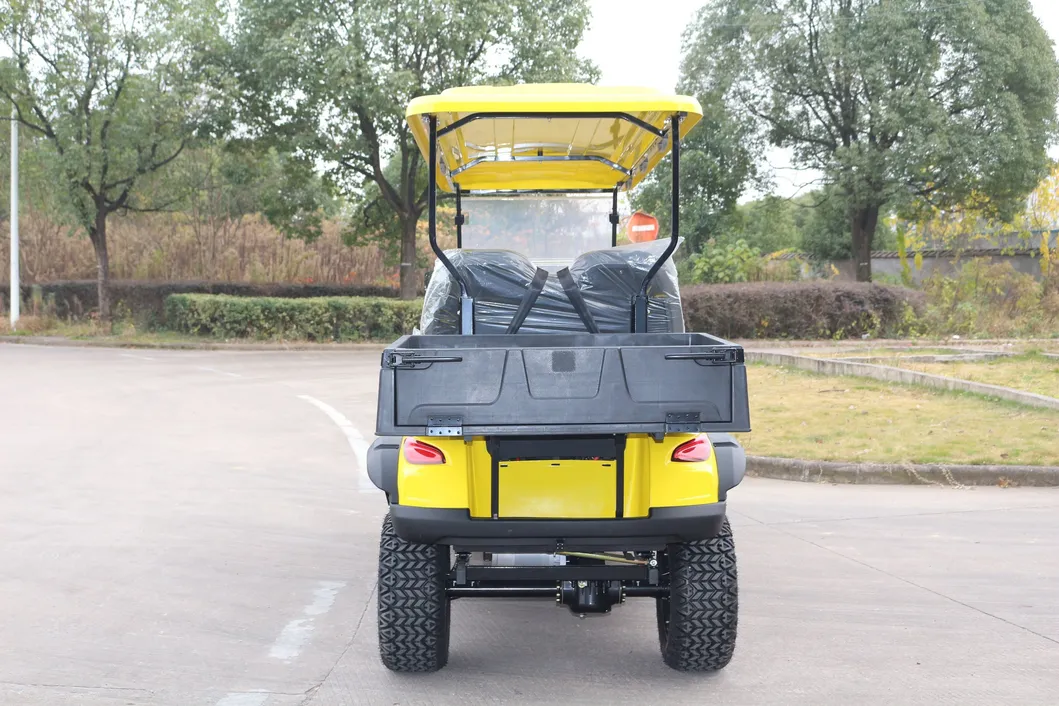 Carro de golfe elétrico para passeios