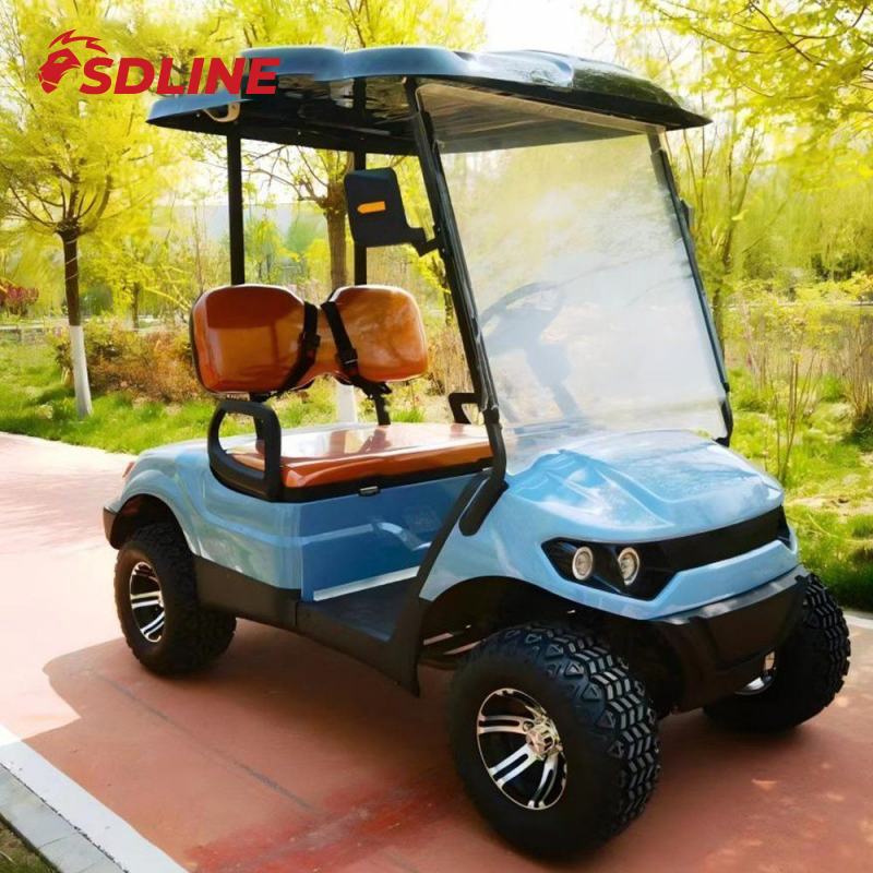 Preço Mais Baixo 2 Carrinhos de Golfe Elevados a Gasolina Carrinhos de Golfe a Gasolina Suporte à Personalização