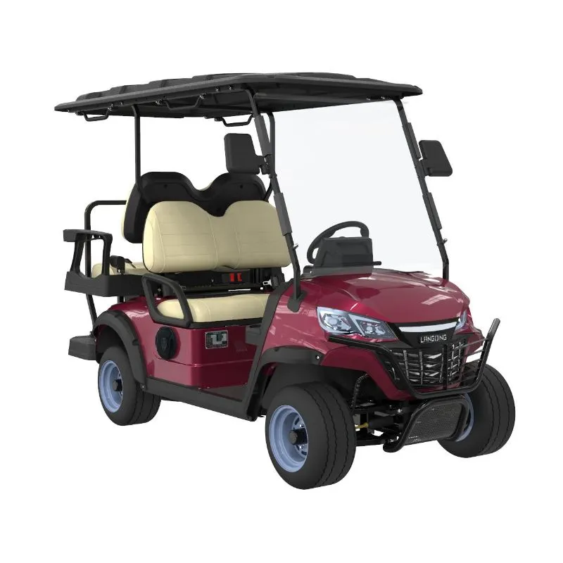 Carrinho de Golfe Elétrico 2
