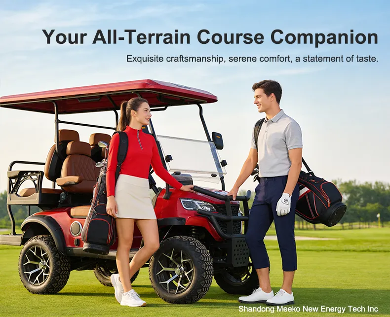 Carrinhos de Golfe Assento Confortável Bom Preço
