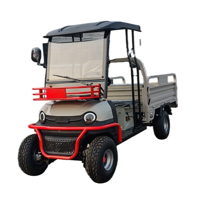 Carrinho de Golfe Elétrico, Versão de Carga ODM/CKD