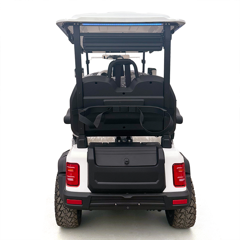 Carrinho de Golfe Elétrico de Luxo Alimentado por Lítio com Opções de Cores Personalizáveis