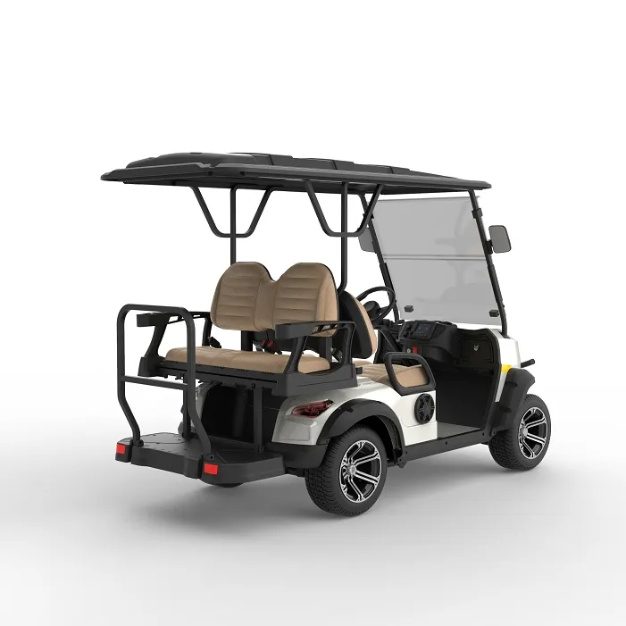 Carrinho de Golfe Motor e Chassi