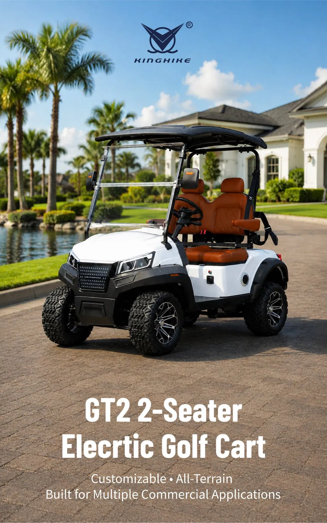 Carrinho de Golfe Elétrico de Luxo 2 Lugares