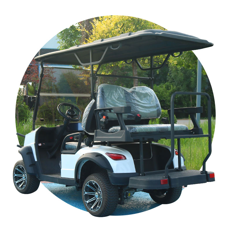 Carrinhos de Golfe Elétricos de Marca 2+2 Assentos Carrinhos de Golfe
