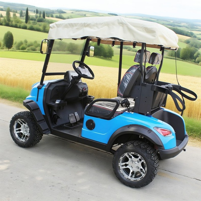 Carrinho de Golfe Elétrico Aprovado pelo CE 2-Seater para Uso Pessoal