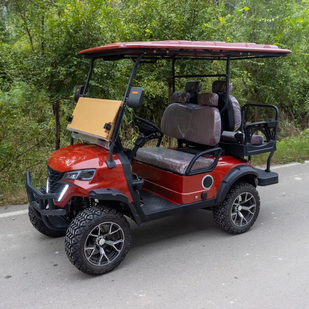 Fábrica de Carrinho de Golfe Elétrico OEM Direto, Cor Personalizada, Logotipo, Material do Assento e Acessórios