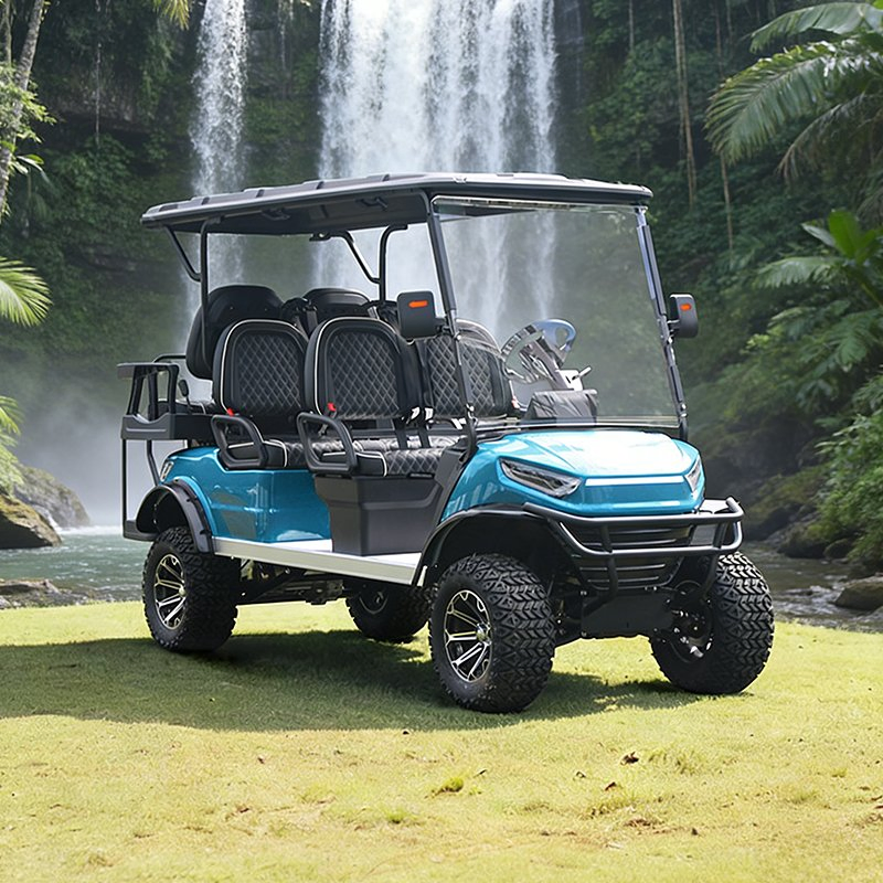 Carrinho de Golfe de Luxo para Uso em Campo e Rua com Aprovação do DOT