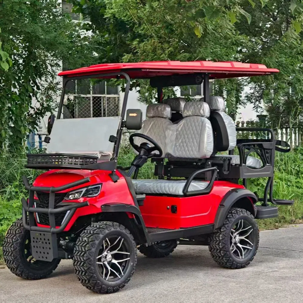 Fábrica de Carrinho de Golfe Elétrico OEM Direto, Cor Personalizada, Logotipo, Material do Assento e Acessórios