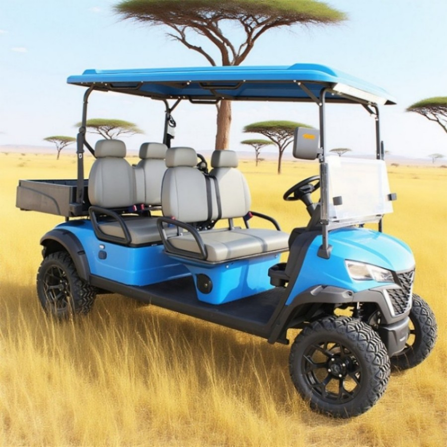 Venda por atacado 4 Carrinho de Golfe Elétrico com Tração Off-Road 6 Assento 2-Seater Carro Buggy com Acessórios para Carrinho de Golfe Preços Baixos