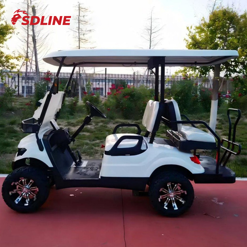 Carrinho de Golfe Elétrico para Compradores Internacionais com Bateria de Lítio e Ácido Chumbo para Passeios e Caça Disponível 2/4/6/8 Lugares Premium