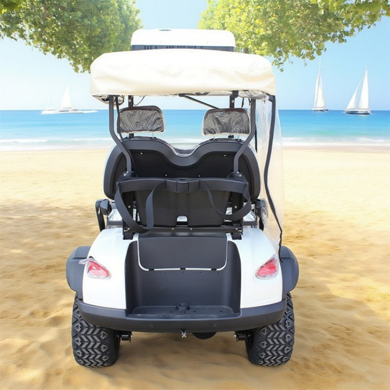Carrinho de Golfe Elétrico Aprovado pelo CE 2-Seater para Uso Pessoal