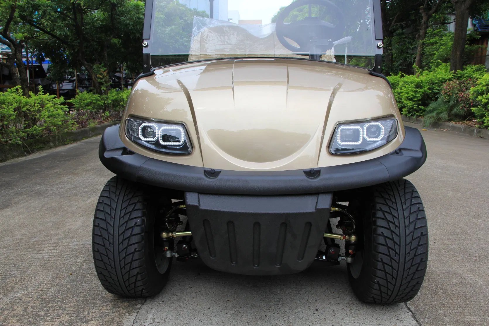 Acessórios para Carro de Golfe Legal na Rua 4 Lugares 48/72V Carrinho de Golfe Elétrico