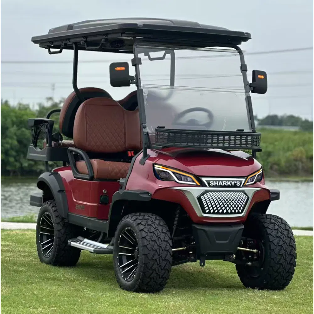 Carrinho de Golfe Luxuoso - Vista Frontal