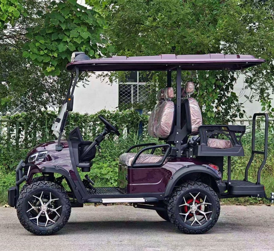 Padrão ANSI Veículo de Baixa Velocidade (LSV) Carrinho de Golfe Compliant Fmvss 500 para Uso em Vizinhança nos EUA