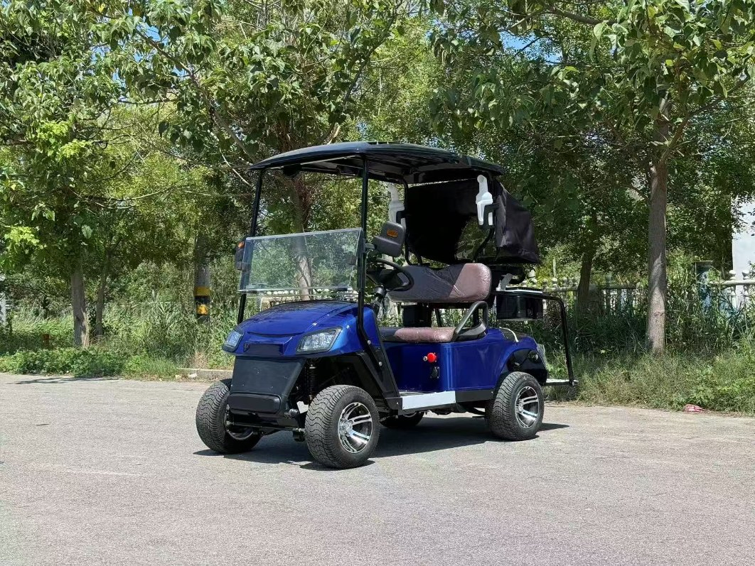 Melhor Preço Carrinho de Golfe para Uso Comercial em Aeroporto, Fábrica, Parque e Transporte de Vizinhança Atacado