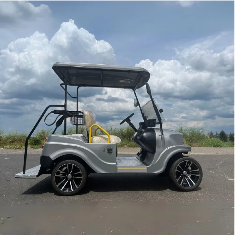 2025 Parison 2 Assentos Elétricos de Carro com Estrutura de Alumínio Carrinho de Golfe Elétrico Scooter de Golfe Off Road Carrinho de Golfe