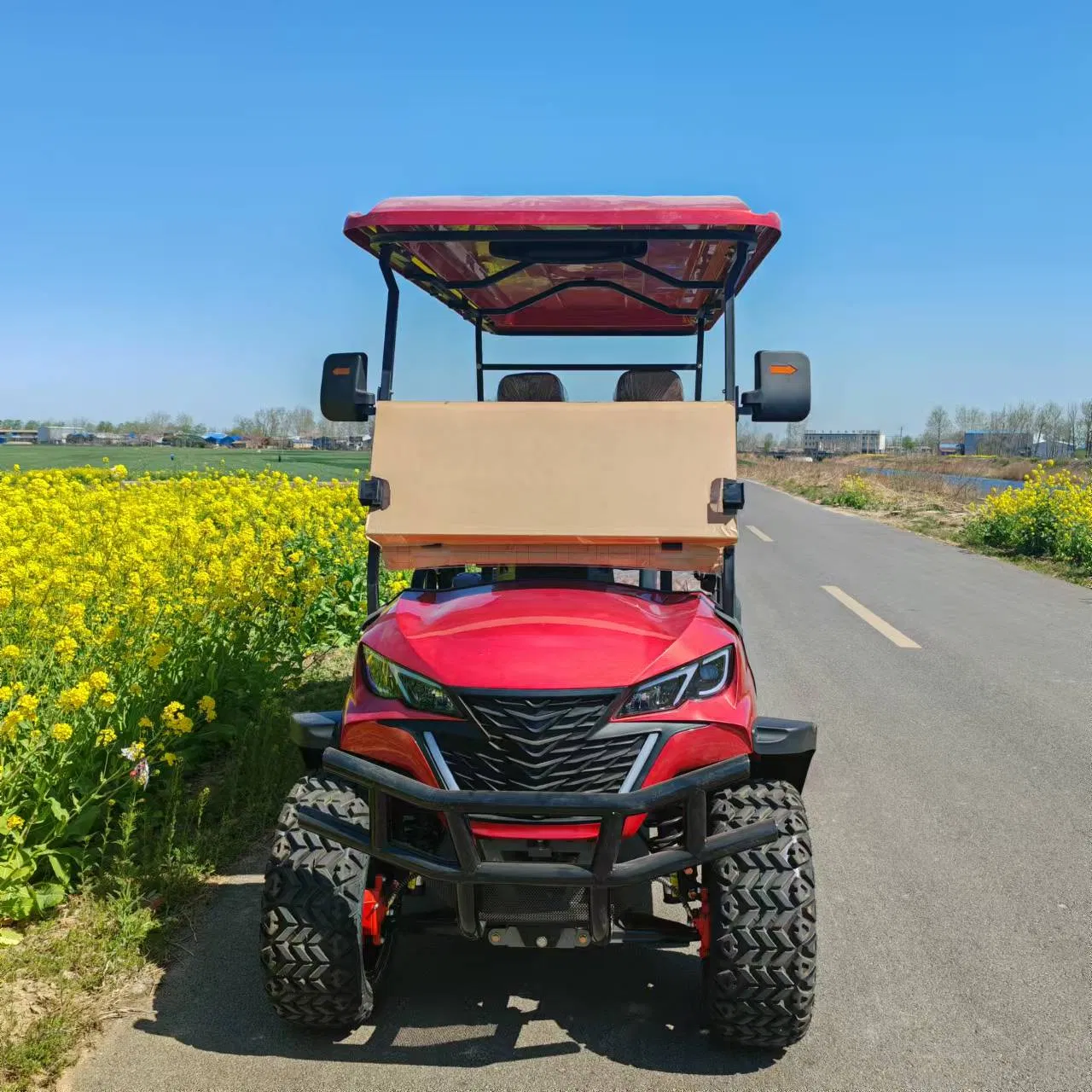 2 4 6 8 Carrinho de Golfe Elétrico com Assentos para Caça com Potente 3.5kw Controlador de Motor AC Carros de Golfe Elétricos