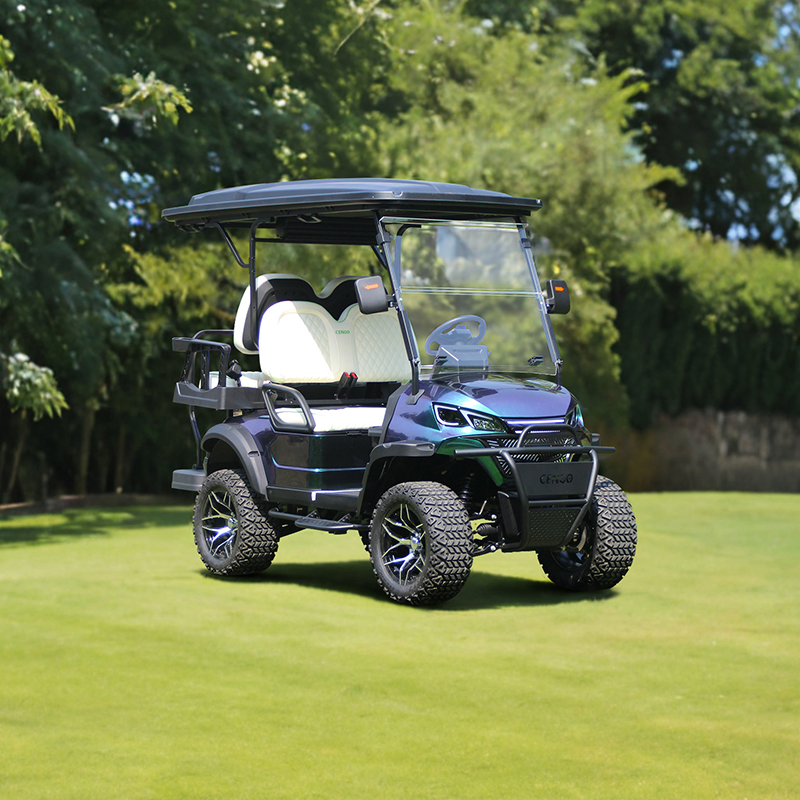 Veículo Elétrico Utilitário Direto de Fábrica para Campos de Golfe, Mini Veículo Elétrico com Uso Múltiplo, Buggy de Golfe