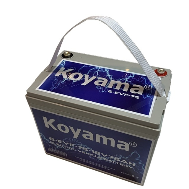 12V75ah 6-Evf-75 Bateria de Carro Elétrico Sem Manutenção para Carrinho de Golfe