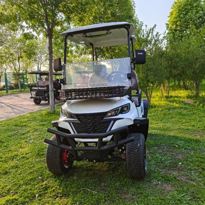 2 Seats Golf Cart 60V 100ah Battery Electric for Golf Course Use
