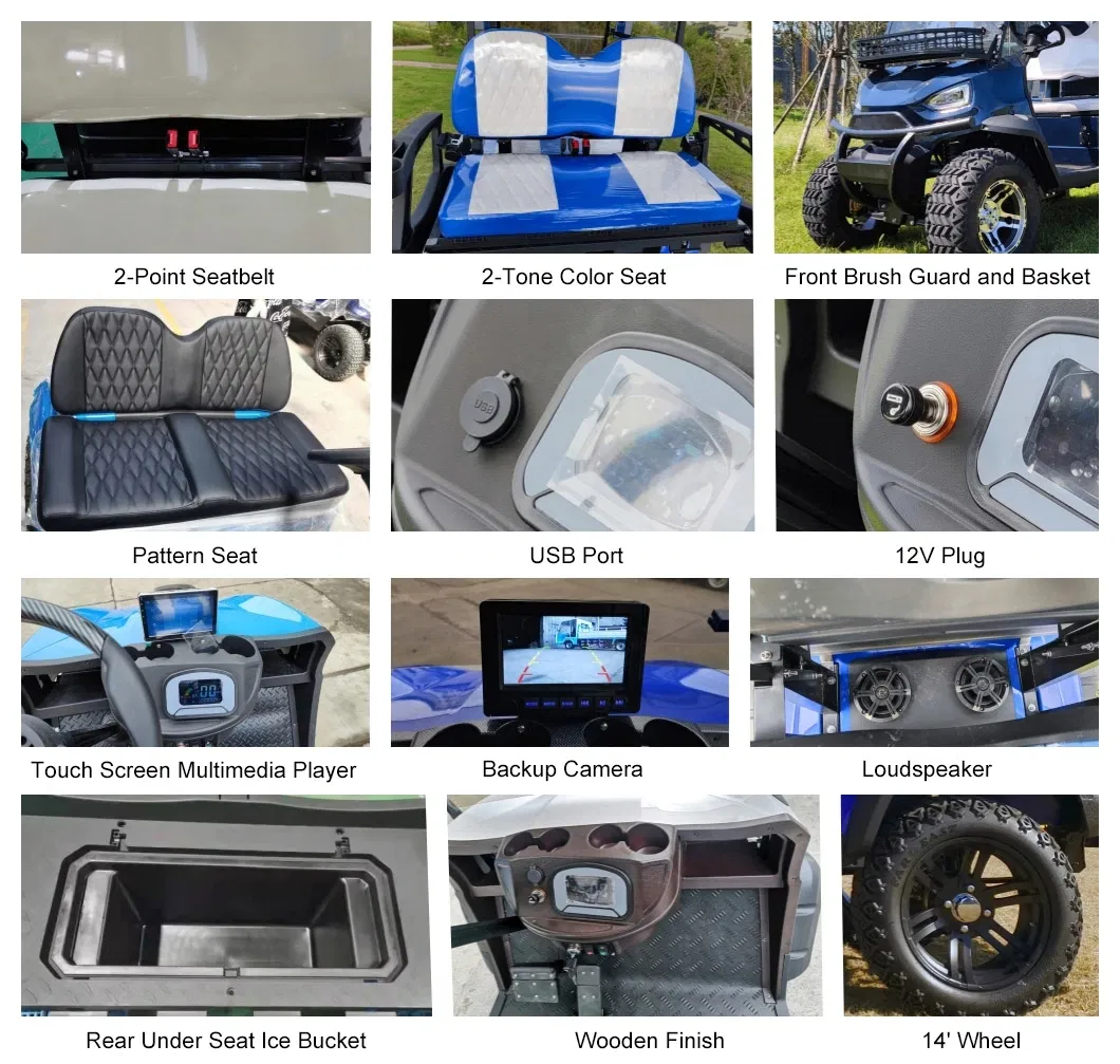 Mini Bateria de Lítio 2 Assento Carrinhos de Golfe a Gasolina Movidos a Gás Elétricos