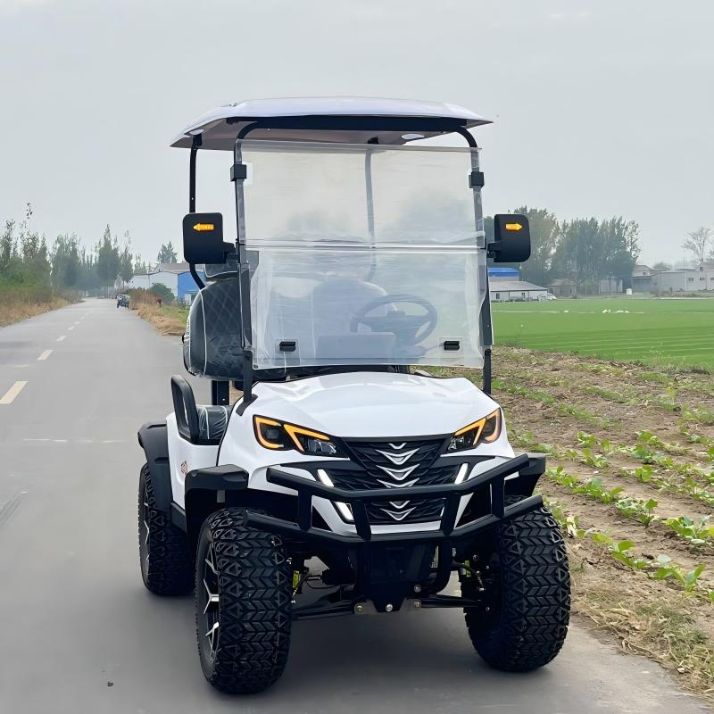 Tongcai &amp; Kepler 2-Seat Buggy Elétrico Pronto para Frota Projetado para Gestão de Campos de Golfe, Durável, Eficiente, Fácil Manutenção, Ideal para Operações Diárias Elect