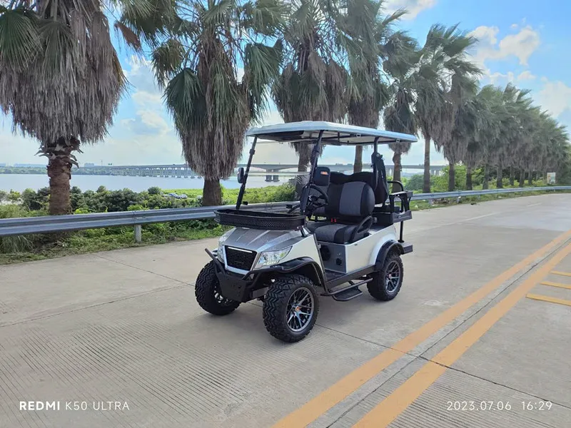 Carrinho de Golfe Elétrico para Uso em Clube de Golfe Carro Elétrico Pequeno