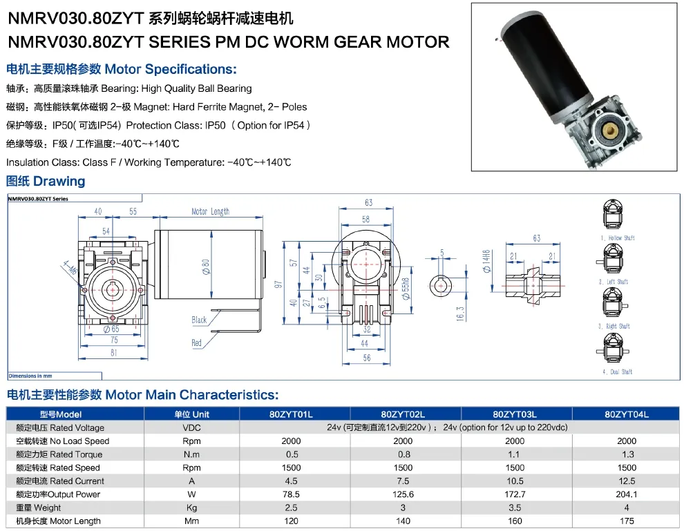 Motor DC típico modelo 12