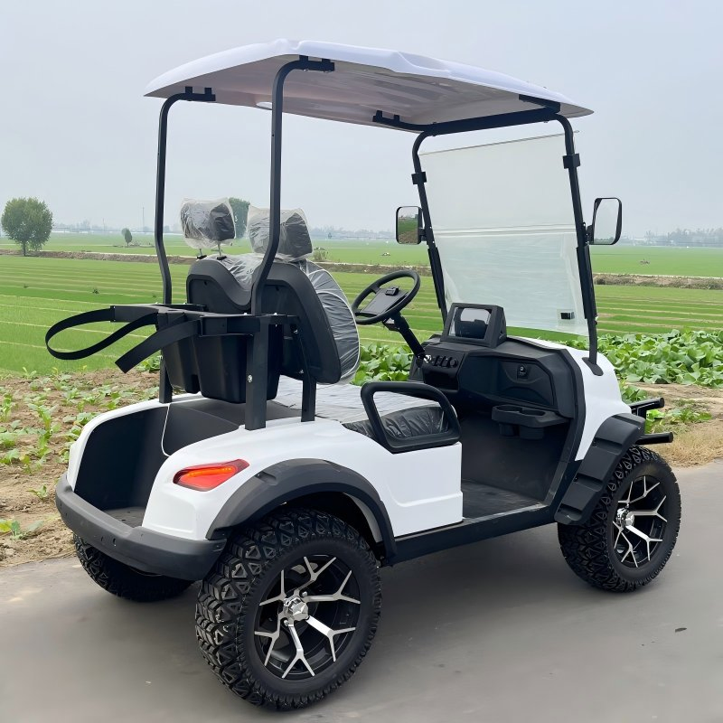 Tongcai &amp; Kepler 2-Seat Buggy Elétrico Pronto para Frota Projetado para Gestão de Campos de Golfe, Durável, Eficiente, Fácil Manutenção, Ideal para Operações Diárias Elect