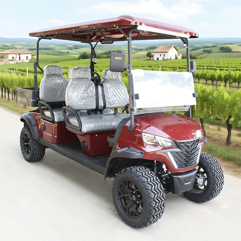 Carrinho de Golfe Elétrico 1