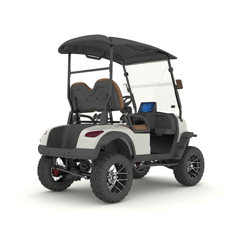 Veículo Elétrico Utilitário de Baixo Preço para Resorts, Carrinho de Golfe com Construção Robusta e Durável