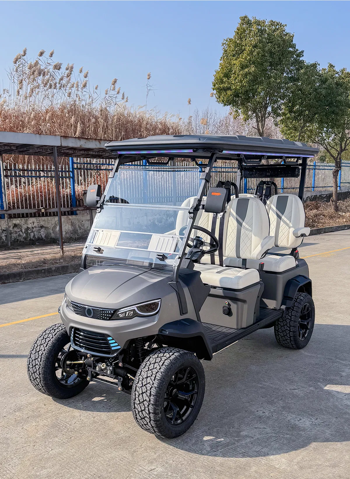 Detalhe do carrinho de golfe 2