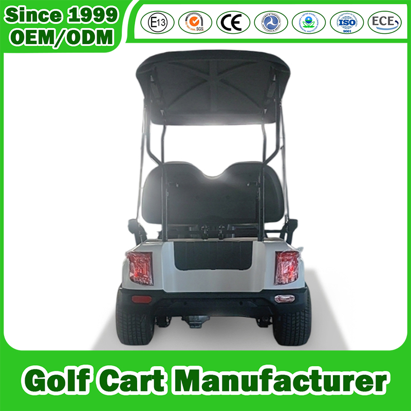 2+2 Assento 4 Passageiro Fábrica da China Personalizado 2+2 Assentos Carro Clube a Gasolina Gasóleo Elevado Tour Lsv Carrinho de Golfe Buggy de Golfe Fabricante