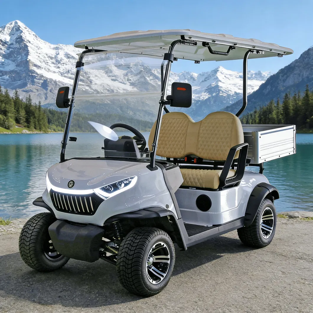 Detalhe do Carrinho de Golfe Elétrico