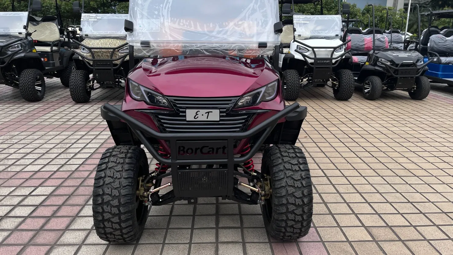 Carro de Golfe Carrinho de Golfe Elétrico Carrinho de Golfe com Certificado CE