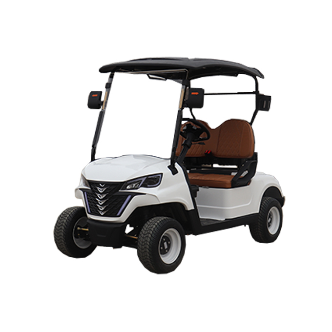 Novidades Keyu 2 Assentos Carrinho de Golfe de Luxo para Campo de Golfe