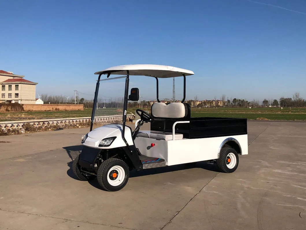 150cc 2 Carrinho de Golfe Utilitário a Gasolina Legal para Rua