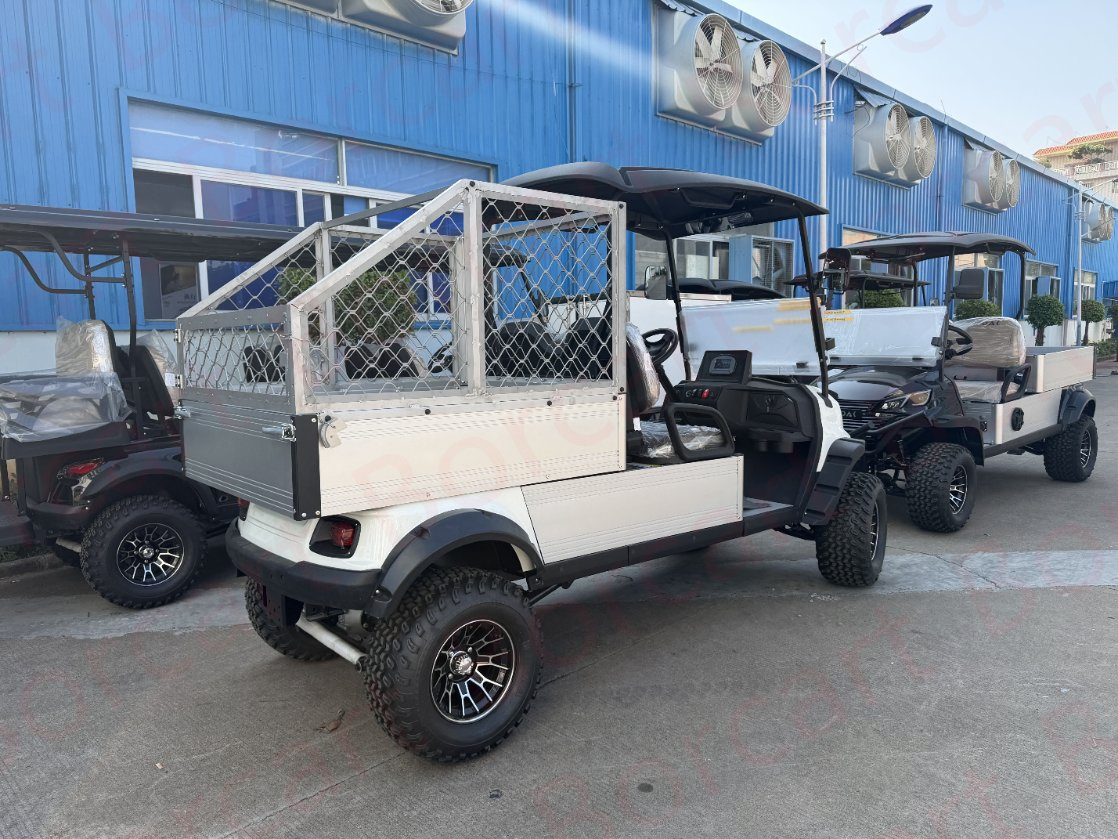 Veículo Elétrico Utilitário Carrinho Utilitário Buggy Utilitário Golfe Utilitário