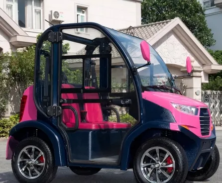 Carrinho de Golfe de Luxo com Ar Condicionado para Buscar Crianças na Escola