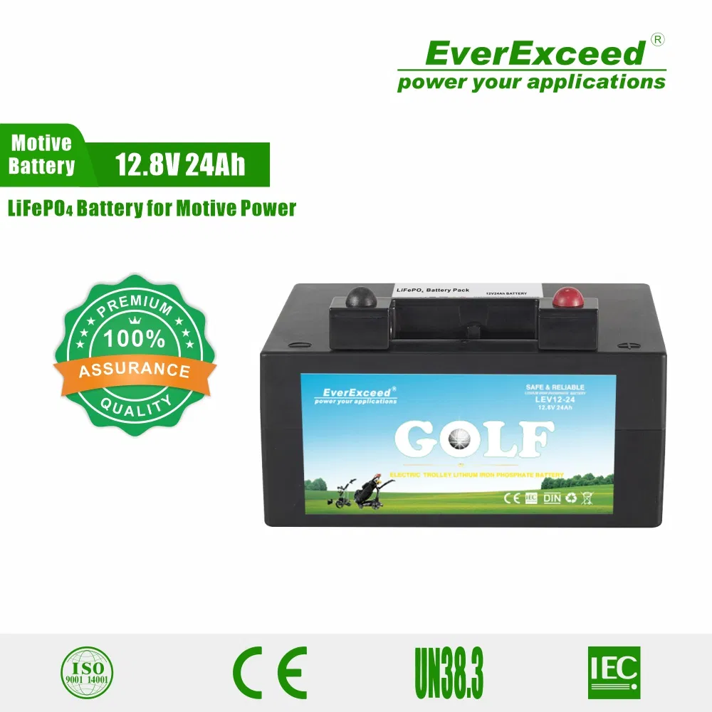 Bateria de Íon de Lítio de Ciclo Profundo Personalizada 12V 24ah para Carrinhos de Golfe