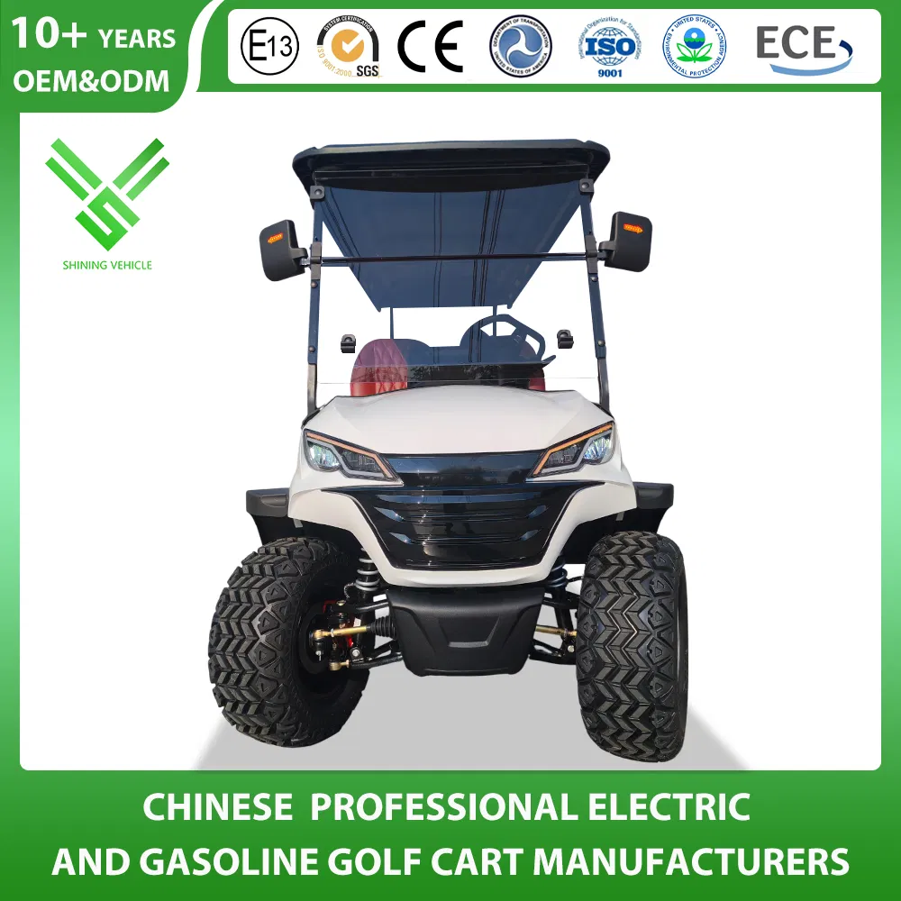 Carrinho de Golfe de Luxo Lsv 6 Lugares 72V Buggy de Litio Off Road para Caça