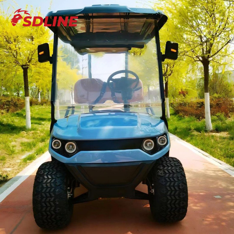Preço Mais Baixo 2 Carrinhos de Golfe Elevados a Gasolina Carrinhos de Golfe a Gasolina Suporte à Personalização