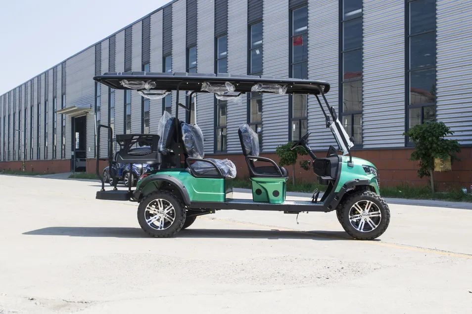Carrinho de Golfe Elétrico Pronto para Acessórios Pessoais com Extensa Variedade de Acessórios Opcionais
