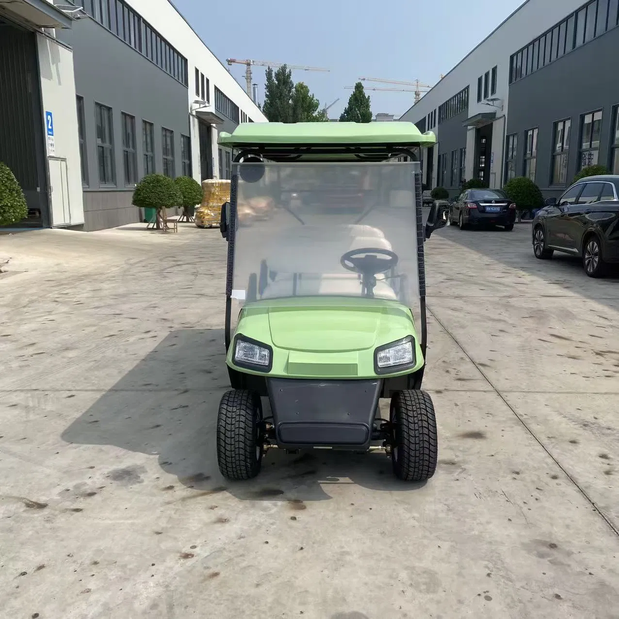 6 Carrinho de Golfe Elétrico de Luxo com Interior Personalizado para Resort