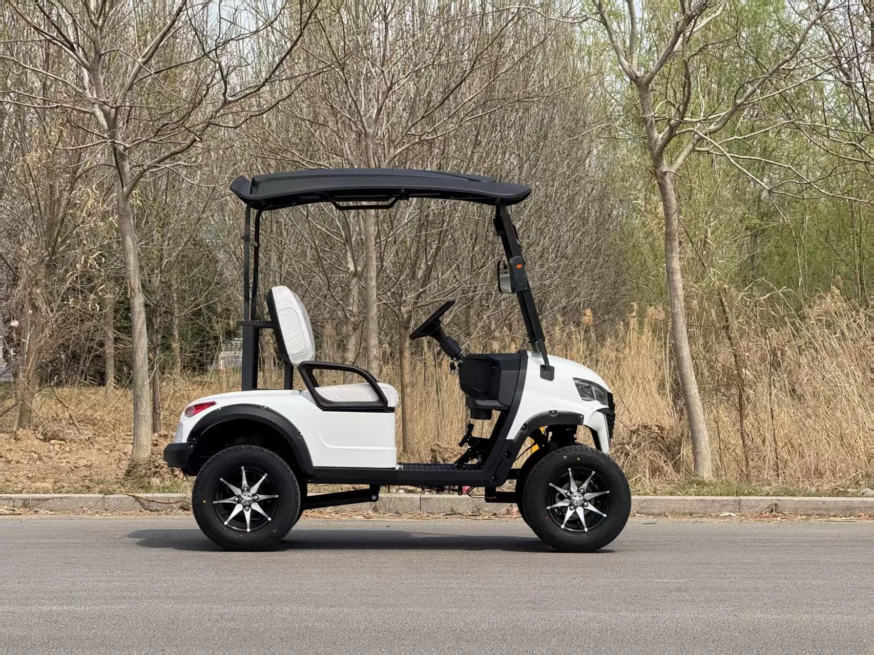 Carrinho de Golfe Elétrico 6