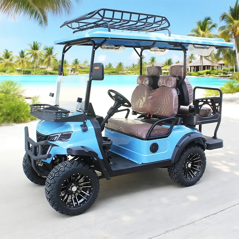 Carrinho de Golfe Detalhe Interno