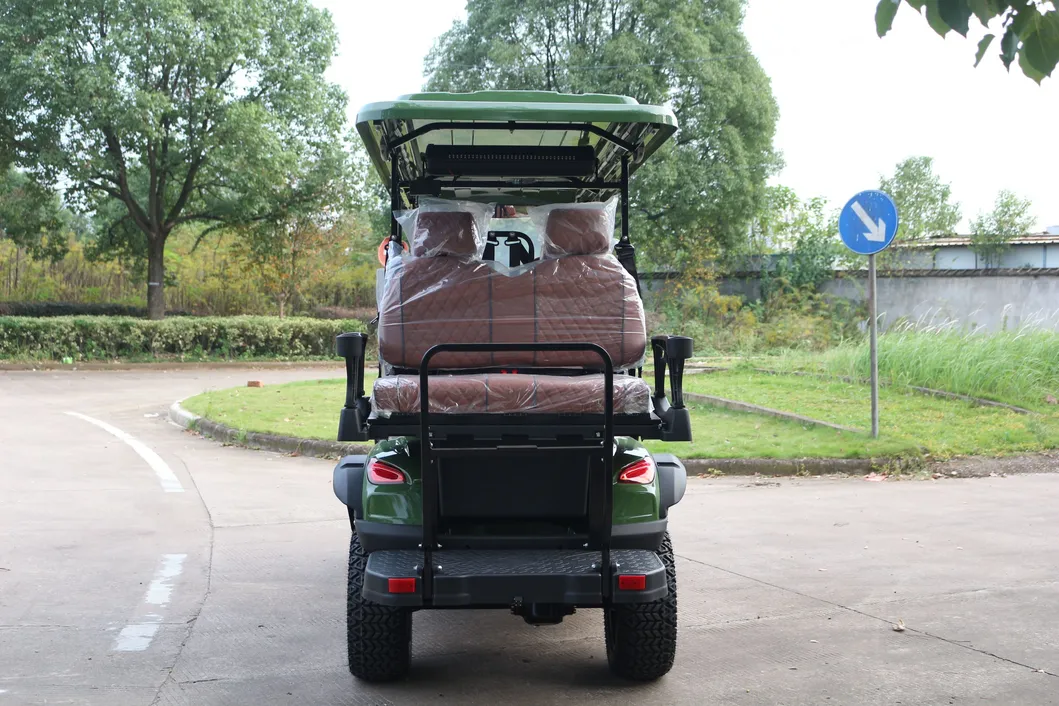 Carrinho de Golfe Detalhe 7