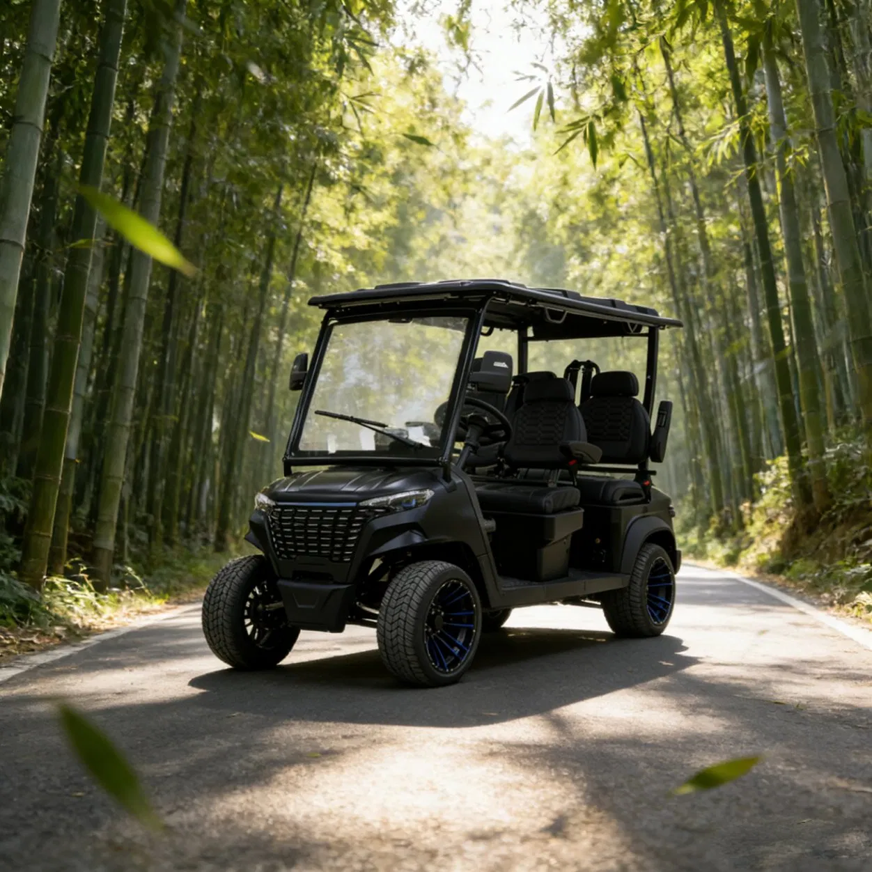 Assentos de Luxo Mais Largos Casco Preto Modelo 4 Carrinho de Golfe Elétrico com Assento Frontal