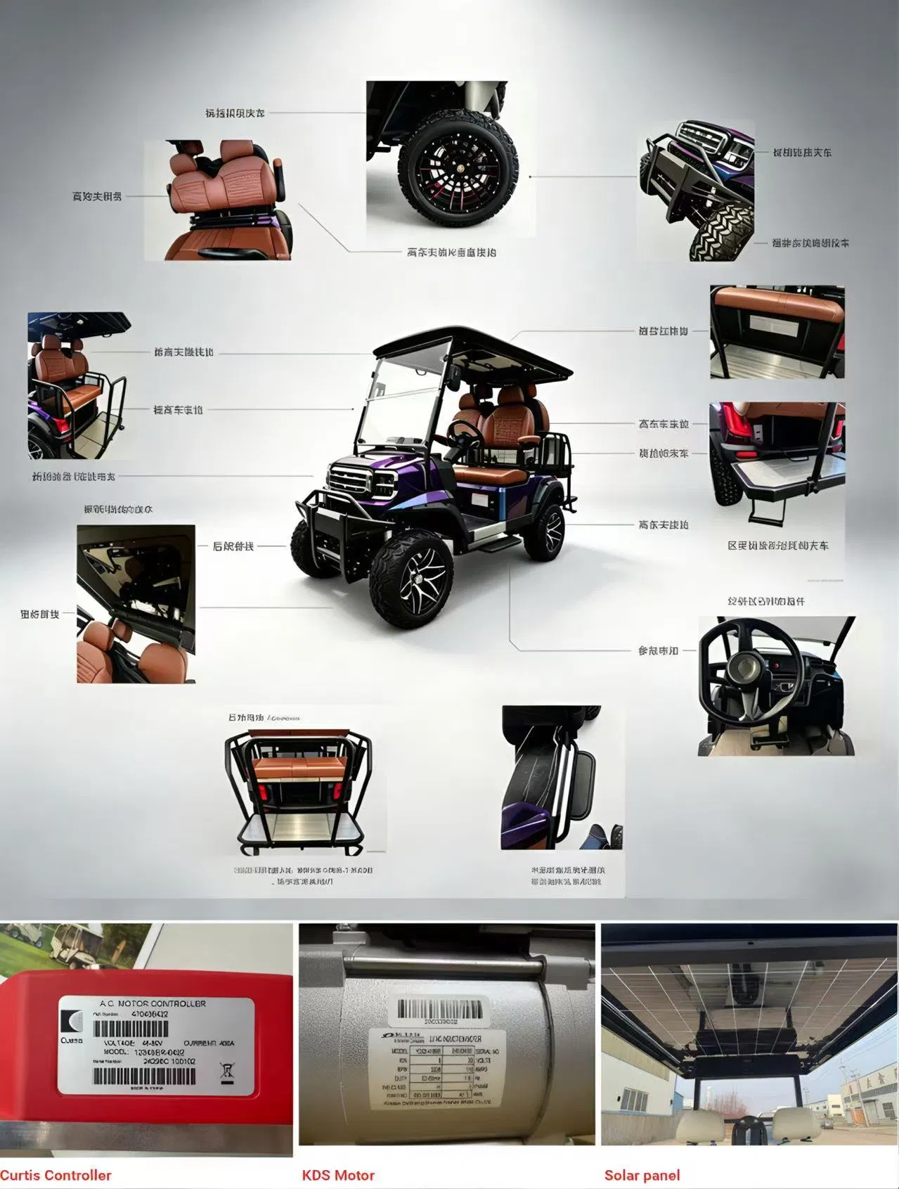 Certificado CE 4 Assento 4 Curso 300cc Motor a Gasolina Alimentado por Cart de Golfe